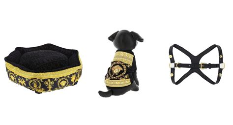 versace pet collection|Gianni Versace.